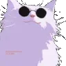 GojoCatVibe