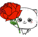 :rose: