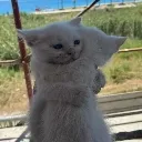hugs
