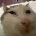 heh