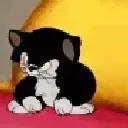 sadasf