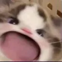 CC_Chat_Aaah