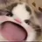 :CC_Chat_Aaah: CC_Chat_Aaah