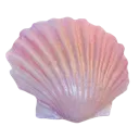 8_shell
