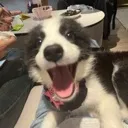 nothoughtsheadempty