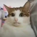 BaoFrown