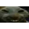 xdd