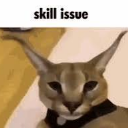 skillissue Discord sticker from Study Space