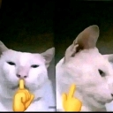 emoji_20 custom emote from مع تحيات عمامكم سيرفر تيريكس