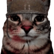 soldjacat Discord Emoji | Study Space