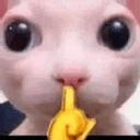 bingusshush Discord sticker - Study Space