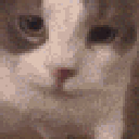 catkiss animated emote | Study Space