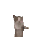 happy animated emote from Study Space