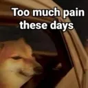 too_much_pain