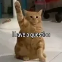 my_I_ask