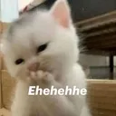 hehehehe