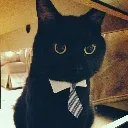 businesscat