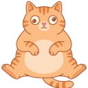 confused_kitty custom emote | ˗ˏˋ ★-Peace Island-★ ˎˊ˗ {hangout/Vc/chatting/community}