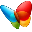 MSN