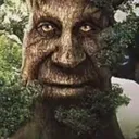 WiseMysticalTree