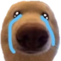 2_dogcry custom emote - luuxr's corner 🌸🍰 | social・gaming・art・gfx・roblox