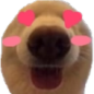 2_doghearteyes Discord sticker | luuxr's corner 🌸🍰 | social・gaming・art・gfx・roblox