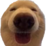 2_doghappy custom emote - luuxr's corner 🌸🍰 | social・gaming・art・gfx・roblox