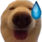 2_dogsweat Discord Emoji from luuxr's corner 🌸🍰 | social・gaming・art・gfx・roblox