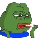 ayo_what ayo_what