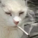 smok