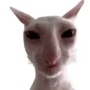Freaky_james