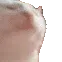 A_cat_blast A_cat_blast