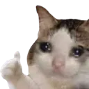 Catthumbs