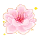 rosis_flower rosis_flower