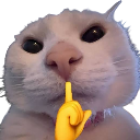 emoji_34 custom emote | 🟦 HUMAN INTERFACE // AICS-X 00
