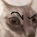 catSus