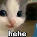 CatHEHE CatHEHE