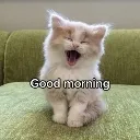 goodmorning