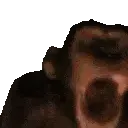 MONKE