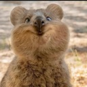 emoji_121 custom emote from Soul Senpai