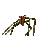 stickbug
