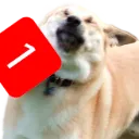33865ping