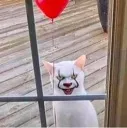 emoji_50 emoji_50