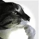 thinking