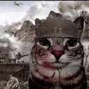 gatoguerra