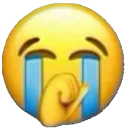 sobcrycry