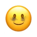 1_