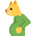 pregnantcat