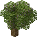 lushcavehere