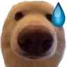 uuuh